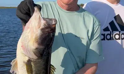 South Bay Report Video 0