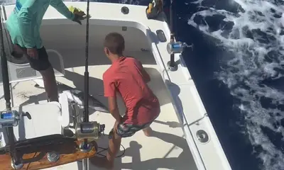 Bermuda Report Video 1
