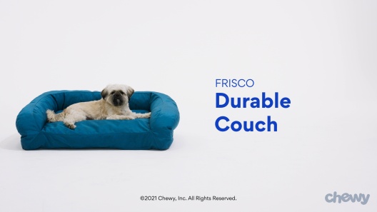 Play Video: Learn More About Frisco From Our Team of Experts