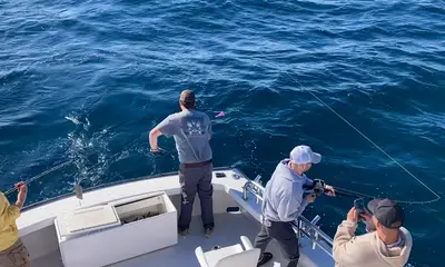 Nags Head Report Video 1