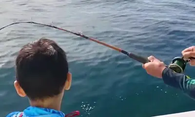 San Jose del Cabo Report Video 0