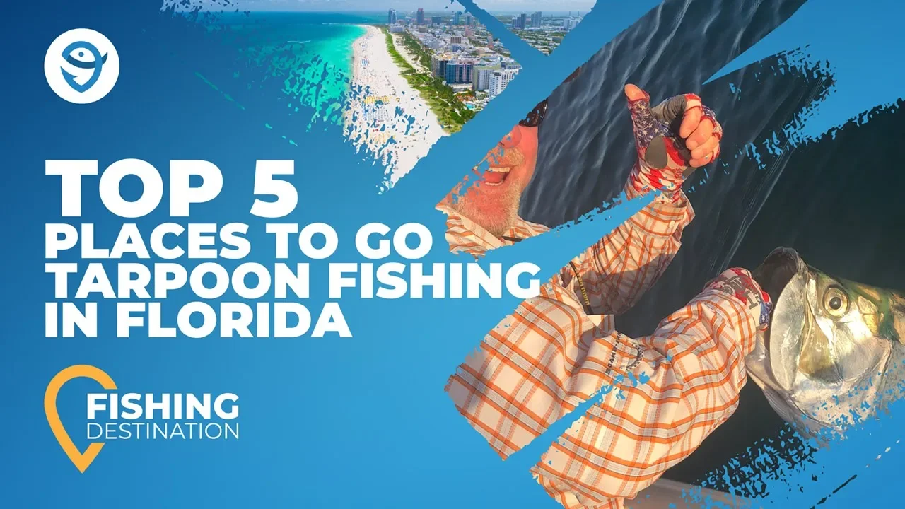 How to Fish for Tarpon in Florida