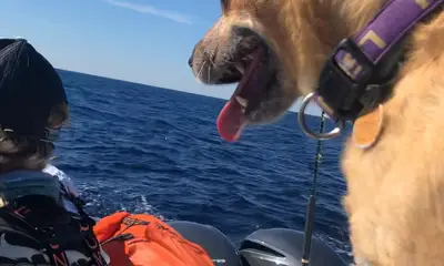 Grand Isle Report Video 0