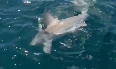 Fort Walton Beach Report Video 1