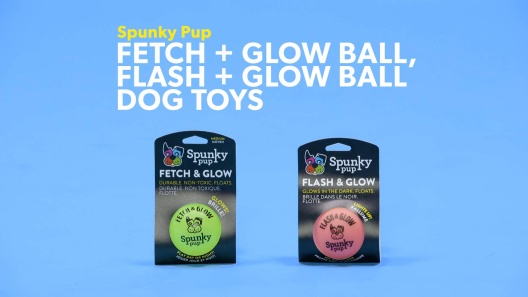 Play Video: Learn More About Spunky Pup From Our Team of Experts