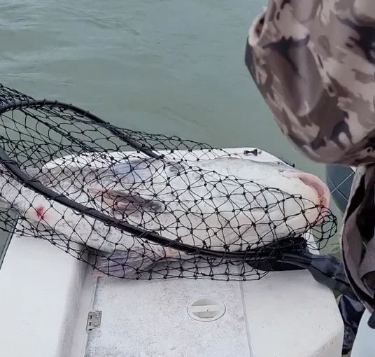 Business Card: Gameface Fishing Charters