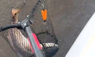 Lake Charles Report Video 0