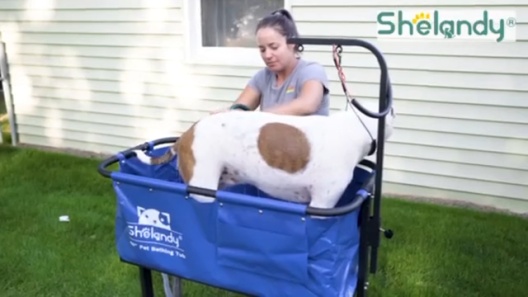 SHELANDY 45 Pet Grooming Bathtub Dog Wash Station