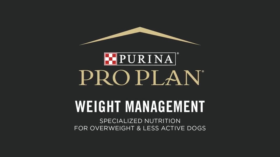 PURINA PRO PLAN Specialized Adult Weight Management Turkey Rice