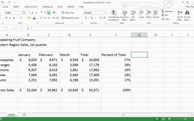 Introduction to Spreadsheets - Formatting Numbers