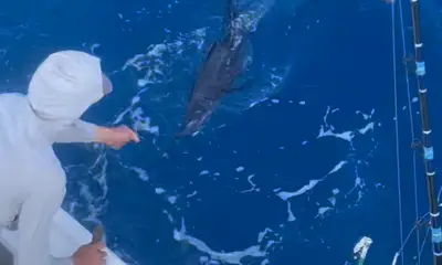 Pompano Beach Report Video 0