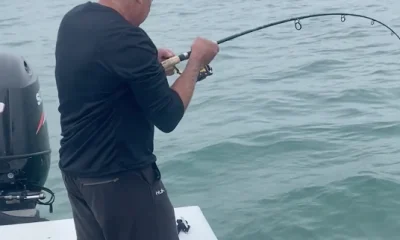 St. Petersburg Report Video 0