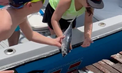 Cancún Report Video 0