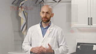 DR Series Pet Plus
