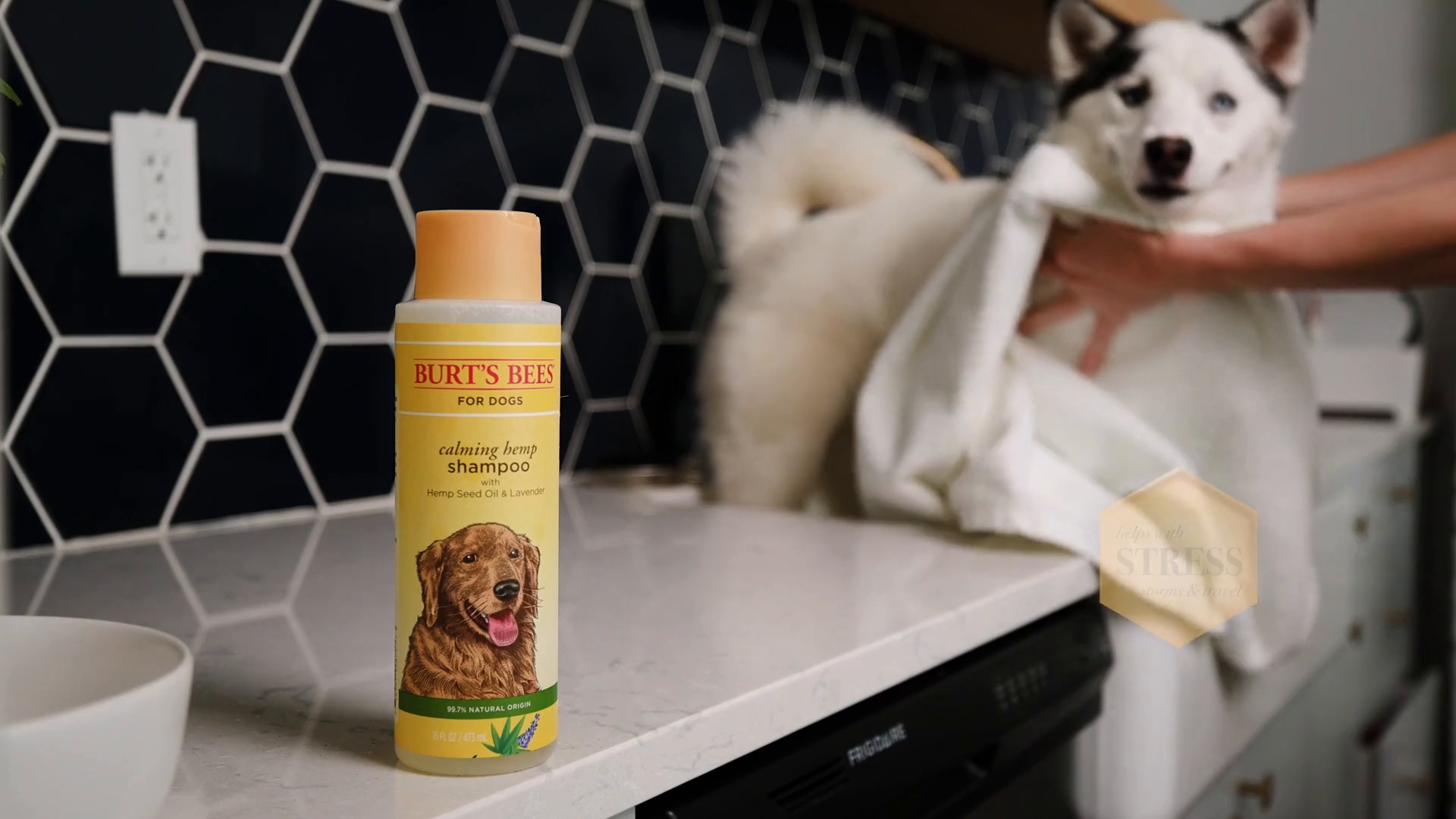 Burt's bees outlet dog