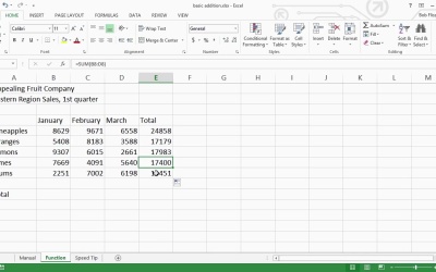 Introduction to Spreadsheets - Using the Sum Function and the AutoSum Tool