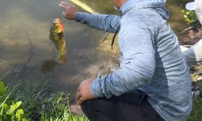 Miami Report Video 0