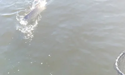 Port Orange Report Video 0