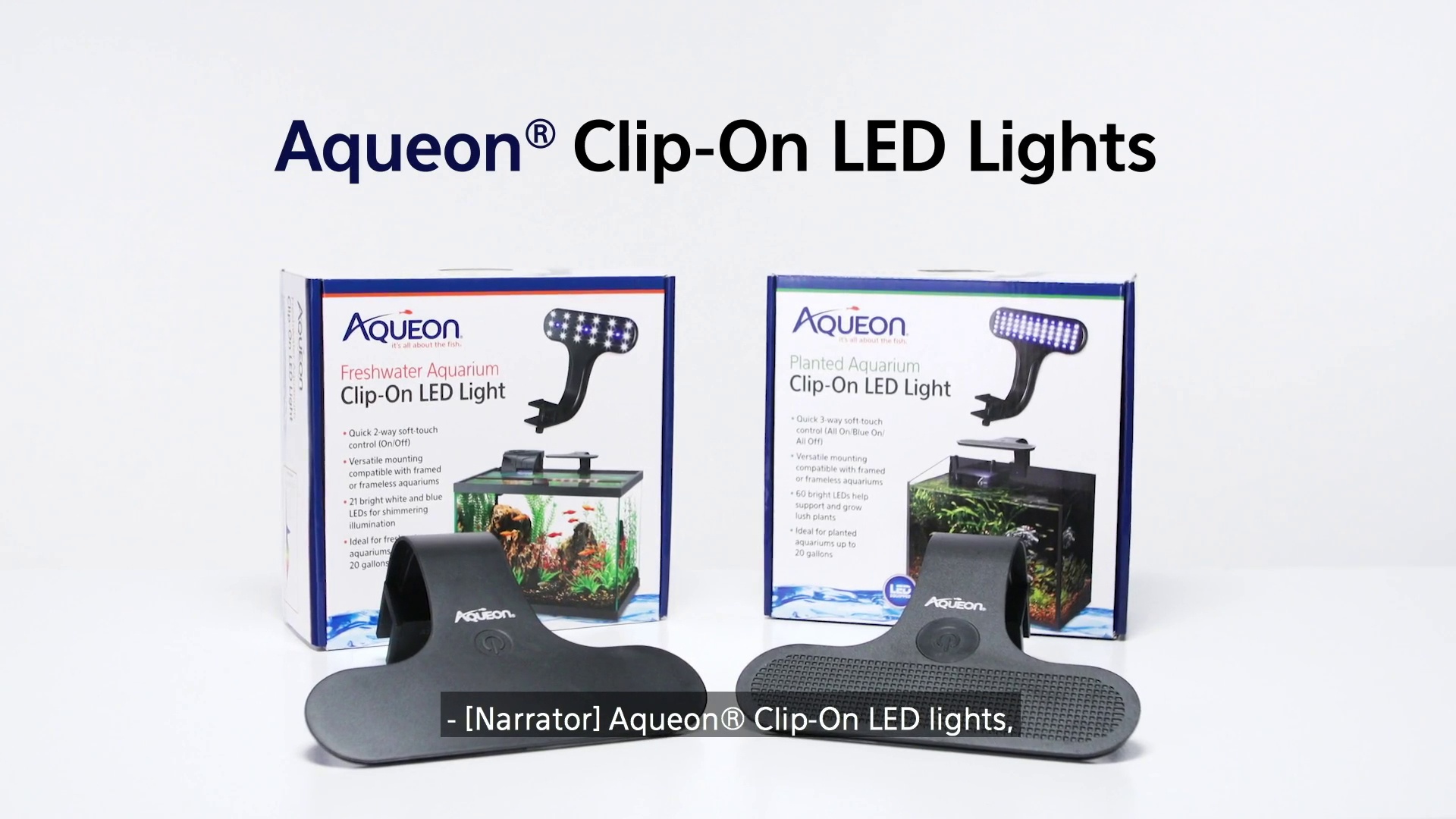 AQUEON Planted Aquarium Clip On LED Light Chewy