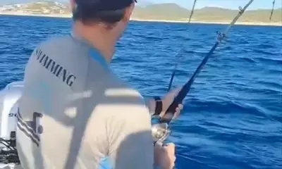 San Jose del Cabo Report Video 0