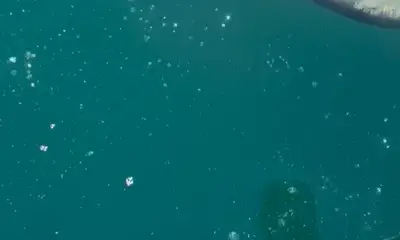 Bahía de los Ángeles Report Video 0