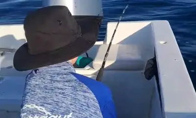 Baja California Sur Report Video 2