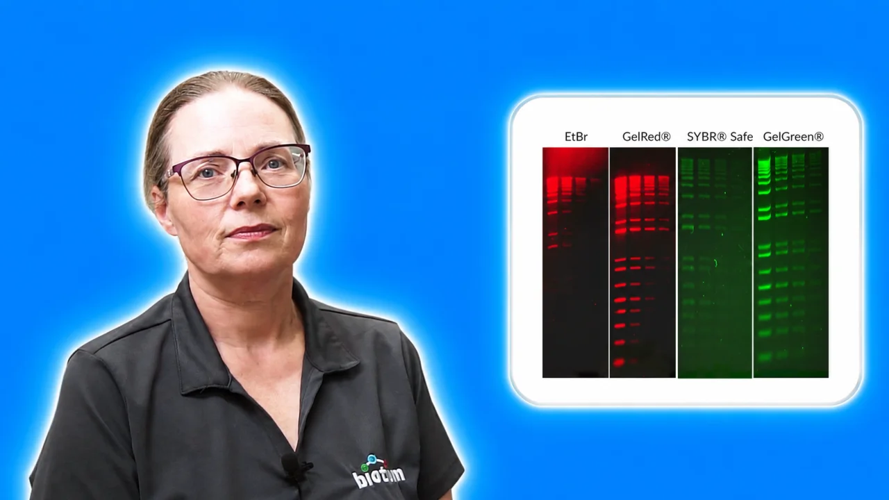 GelGreen® Nucleic Acid Gel Stain - Biotium