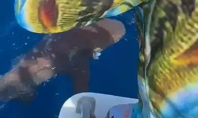 Reporte de Cancún Video 0