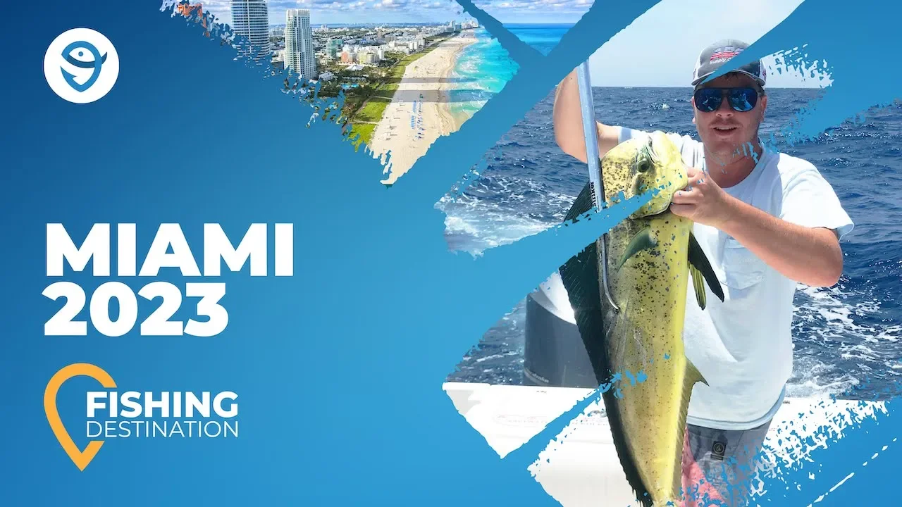 Best Fishing Spots in Miami to Explore This Fall