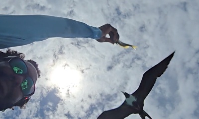 San Pedro Report Video 0