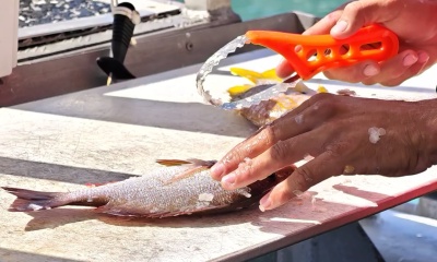 ​Great first fishing experience!