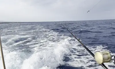 it was a great experience and Captain Dave was awesome!