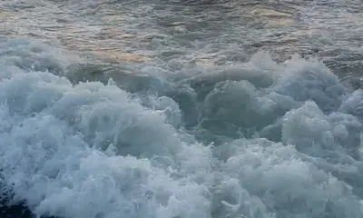 Best trip ever! 