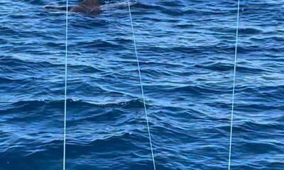 Pamlico Sound Report Video 2