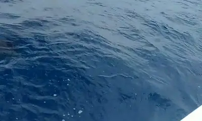 Fort Lauderdale Report Video 0