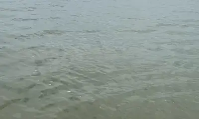Texas City Report Video 1