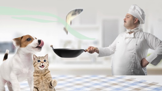 COLORFIL MERV 8 Color Changing Air Filter, 2 count, 16 x 25 x 1-in