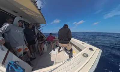 Cancún Report Video 1