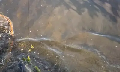 Fellsmere Report Video 0