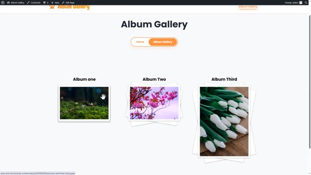 How to Configure Album Gallery Premium Plugin
