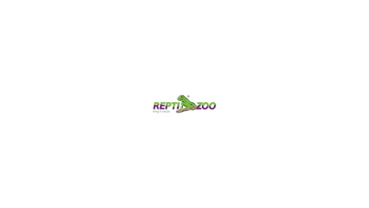Play Video: Learn More About REPTI ZOO From Our Team of Experts
