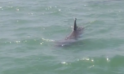 experience gulf coast