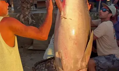 Los Cabos Report Video 2