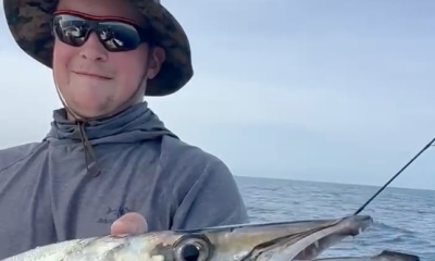 ein sehr schlner zweiter trip 