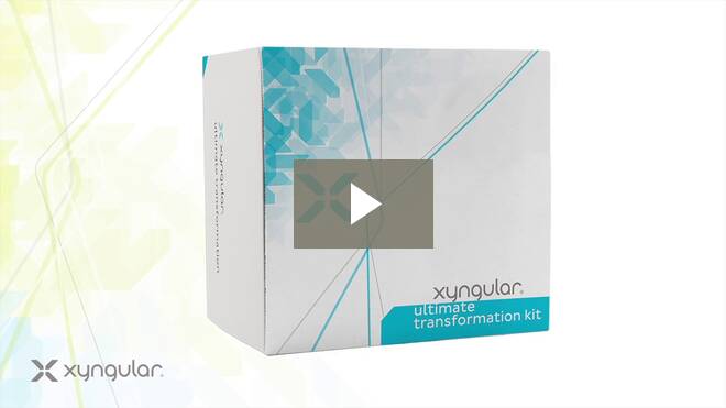 Play Ultimate Transformation Kit Description Video Xyngular Ultimate Transformation Kit - Complete Nutritional Support
