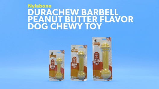 Nylabone Durachew Barbell Peanut Butter Flavor Dog Chew Toy