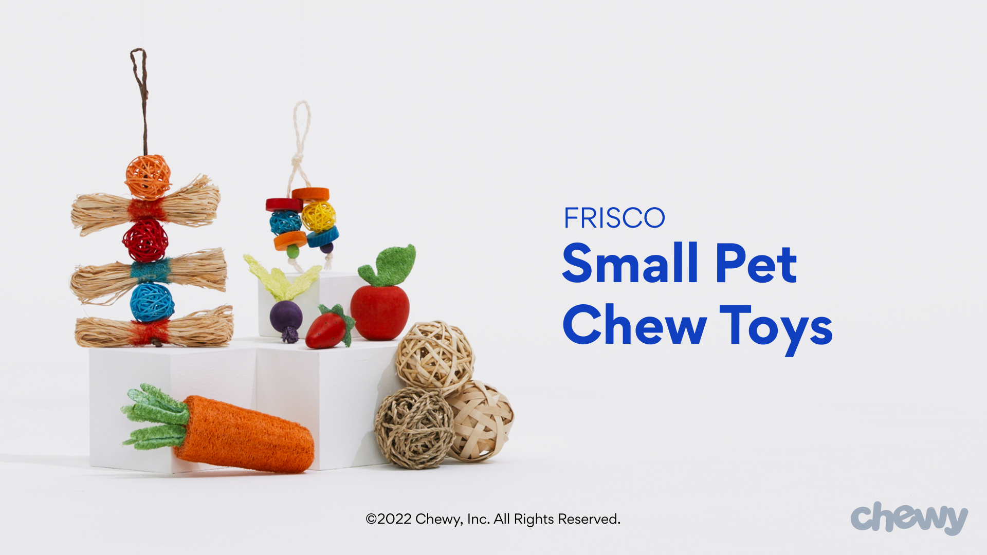 Chewy chew outlet toys