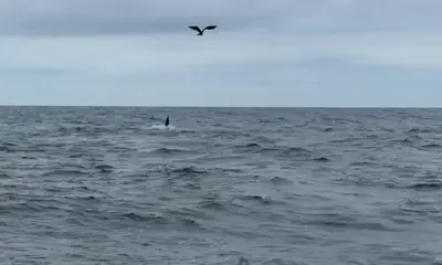 Costa Rica Report Video 2