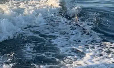 Great trip with Captain Kyle!