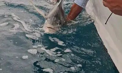 Playa Hermosa Report Video 1